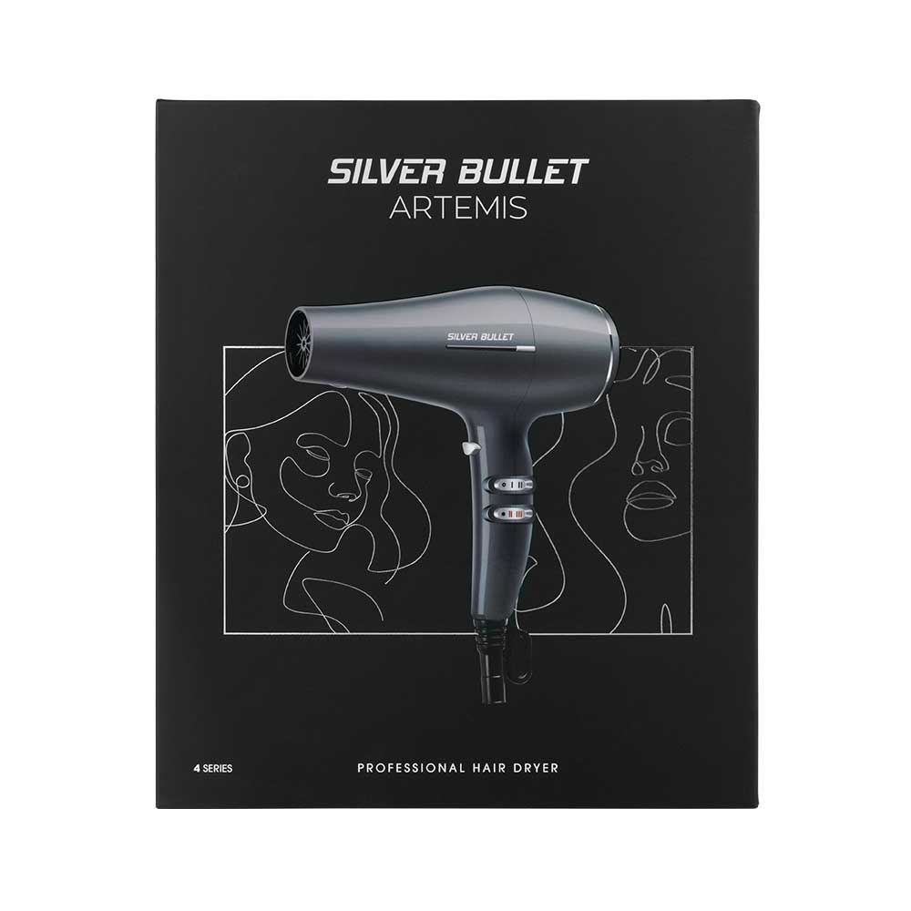 Artemis Professional Hair Dryer-1